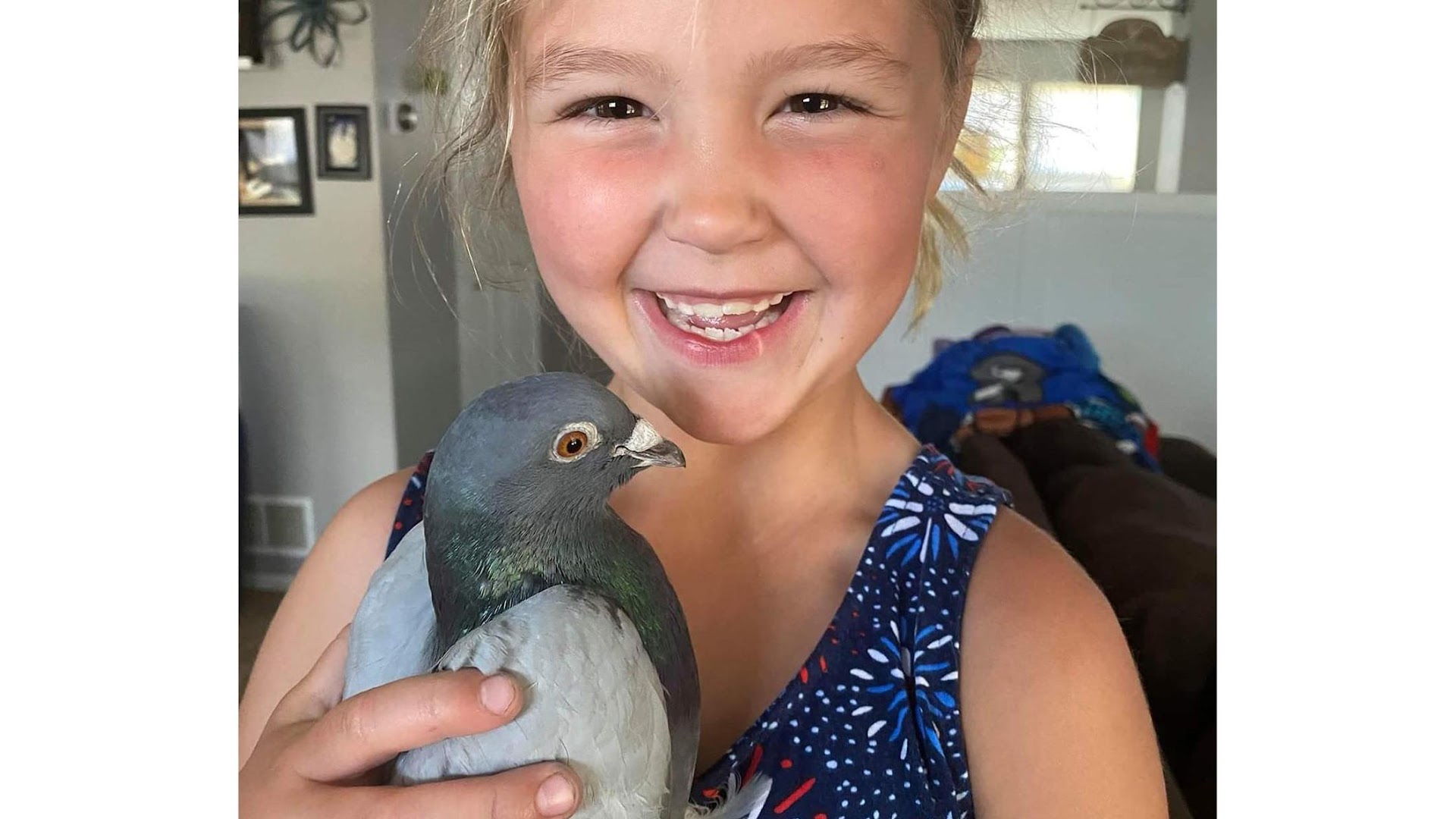 Great Lakes Pigeon Rescue
