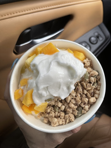 Frozen Yogurt Shop «Red Mango», reviews and photos, 61-47 188th St, Fresh Meadows, NY 11365, USA