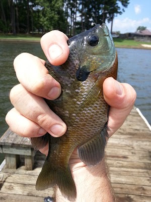 Goose Pond Colony Resort - photo 45