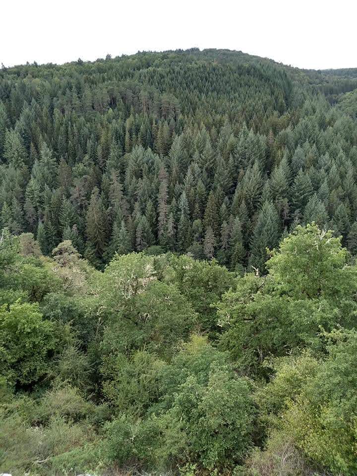 Photo n° 5 de l'avis de So.e fait le 23/08/2020 à 21:08