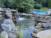 Pet Kiosk Live - Photo 3 - Car repair in Dumont, NJ, Yonkers