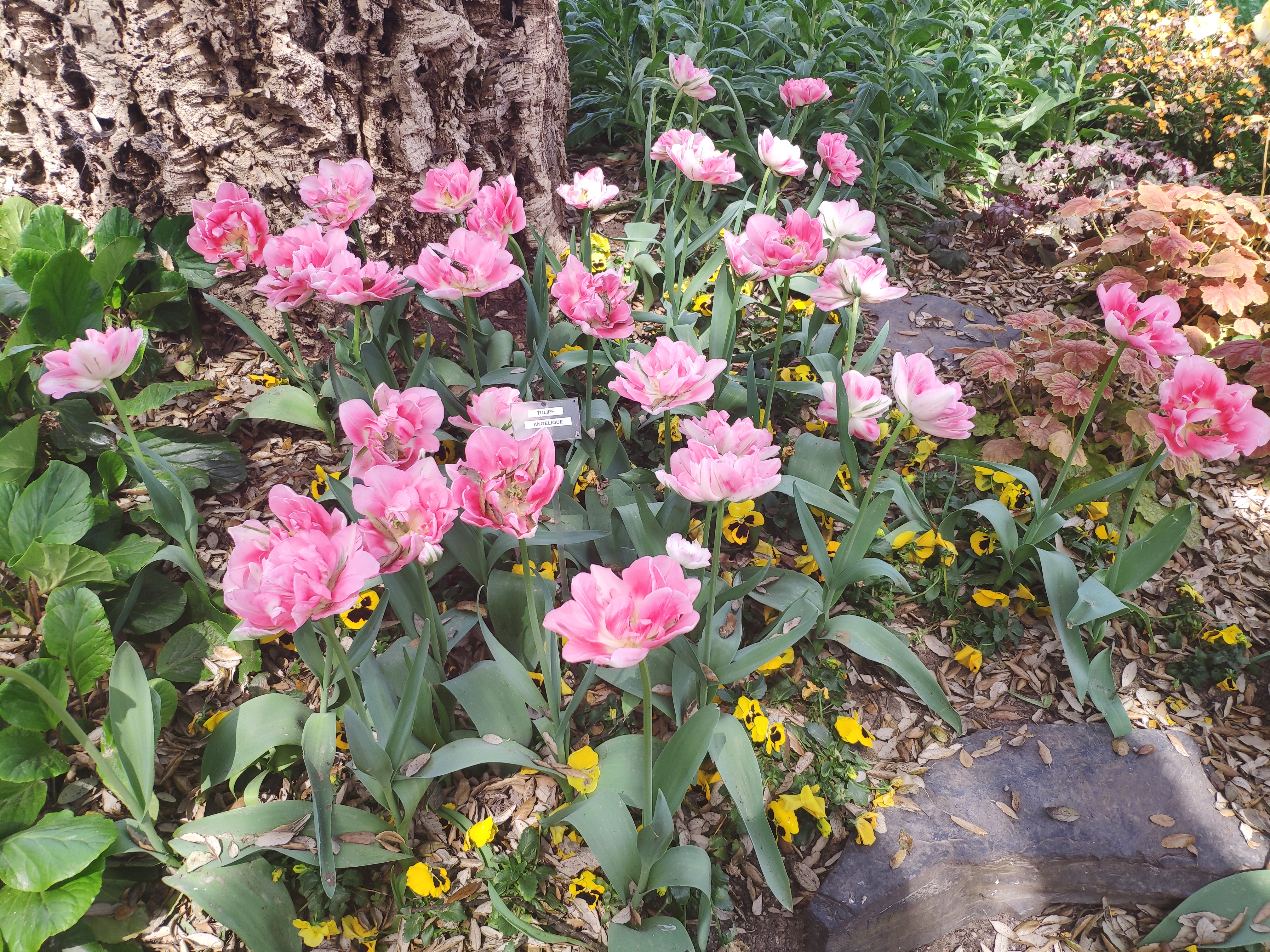 Photo n° 5 de l'avis de Hélène.h fait le 23/04/2019 à 10:48