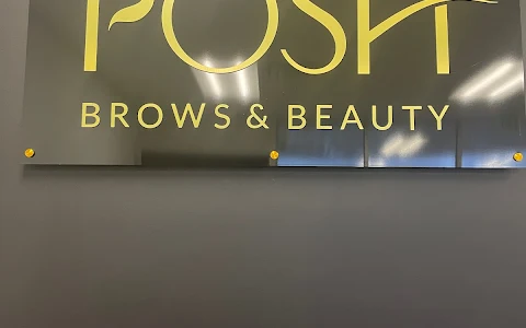 posh brows and beauty image