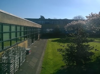 Wesley College Dublin