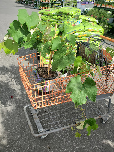 Home Improvement Store «The Home Depot», reviews and photos, 401 S Main St, Milltown, NJ 08850, USA