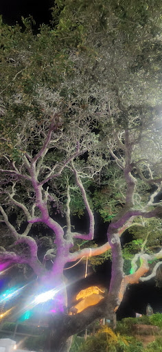 Tourist Attraction «Coconut Creek Family Fun Park», reviews and photos, 9807 Front Beach Rd, Panama City Beach, FL 32407, USA