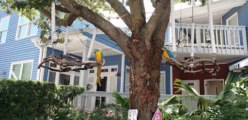 Ice Cream Shop «Salty Dog Ice Cream Factory», reviews and photos, 232 S Sea Pines Dr #304, Hilton Head Island, SC 29928, USA