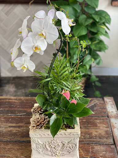 Florist «Botany Bay Florist», reviews and photos, 6068 Roswell Rd, Sandy Springs, GA 30328, USA