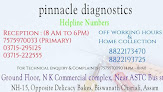 Pinnacle Diagnostics