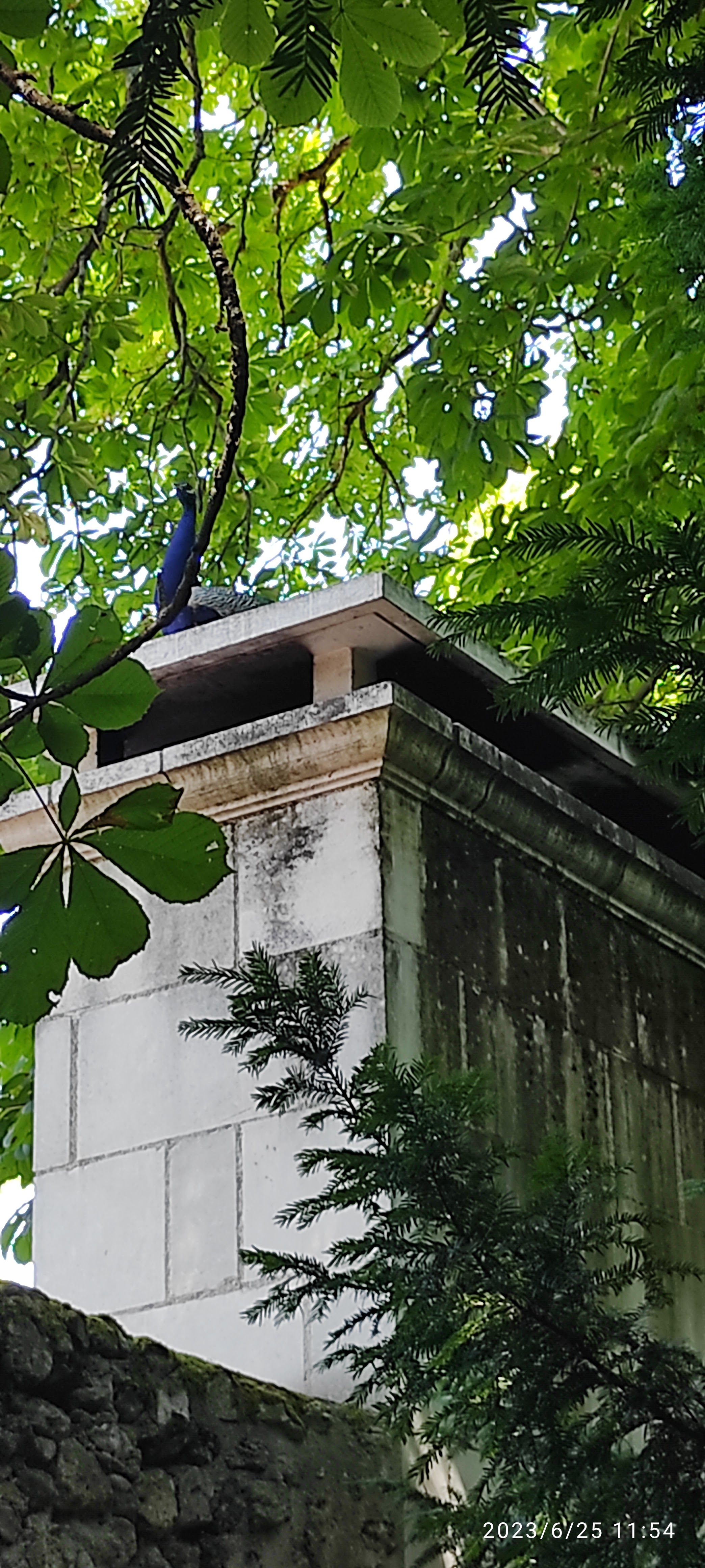 Photo n° 1 de l'avis de Helene.r fait le 25/06/2023 à 10:56