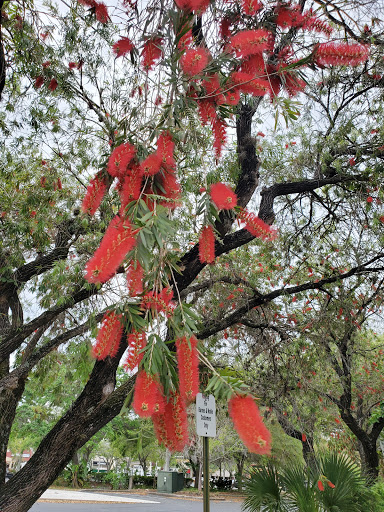 Book Store «Barnes & Noble», reviews and photos, 11802 Dale Mabry Hwy, Tampa, FL 33618, USA