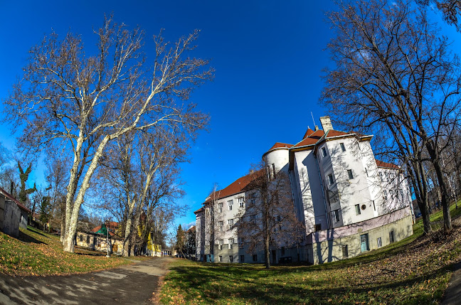 Universitatea din Oradea