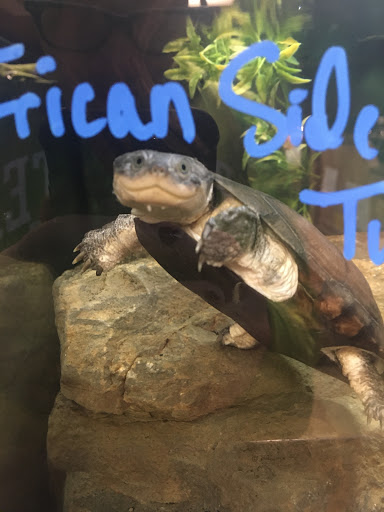 Pet Supply Store «CountryMax - Brockport», reviews and photos, 4875 Lake Rd N, Brockport, NY 14420, USA