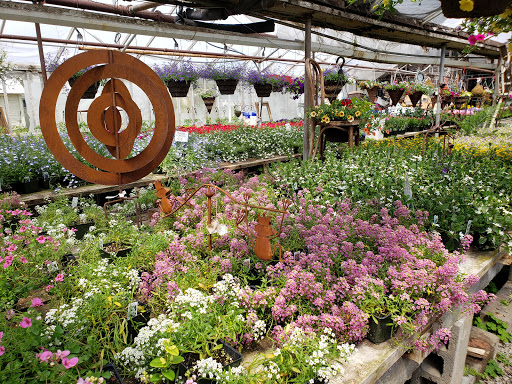 Florist «Orting Floral And Greenhouse», reviews and photos, 117 Eldredge Ave NW, Orting, WA 98360, USA