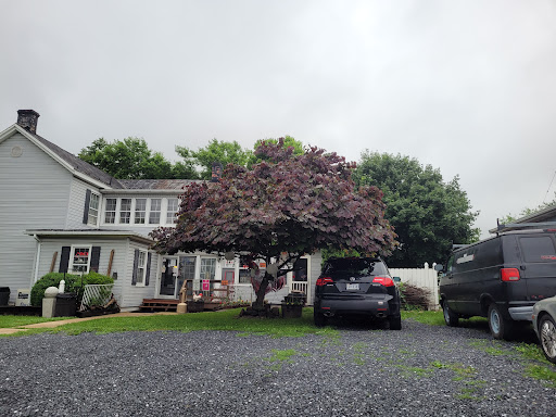 Gail's General Store & Gift DBA Olivesky