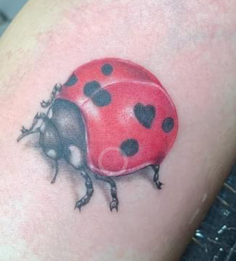 Explore artwork tattoos ideas, creative tattoo ideas in Okeechobee, available at Muck City Tattoos & Piercings