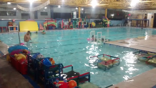 Swimming Academy Workshop