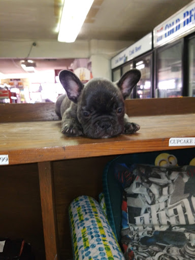 Liquor Store «Kirby Liquor Store», reviews and photos, 4855 Seguin Rd, San Antonio, TX 78219, USA