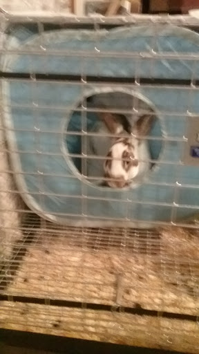 Pet Supply Store «Petco Animal Supplies», reviews and photos, 6805 Mills Civic Pkwy #140, West Des Moines, IA 50266, USA