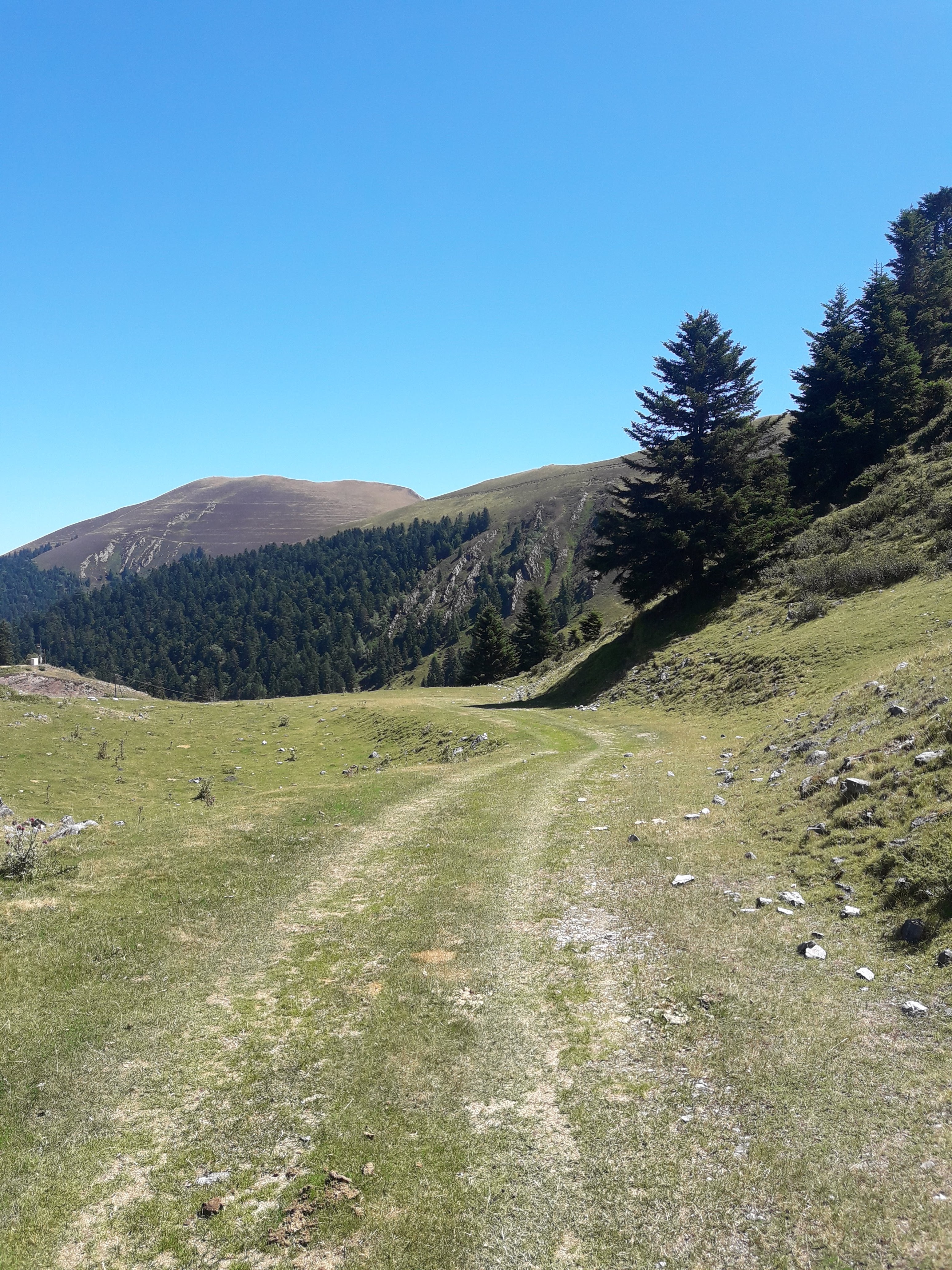 Photo n° 1 de l'avis de Peter.o fait le 08/08/2019 à 15:41