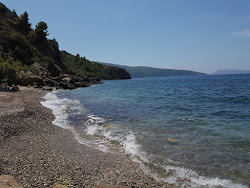 Novo Posta beach'in fotoğrafı doğal alan içinde bulunmaktadır