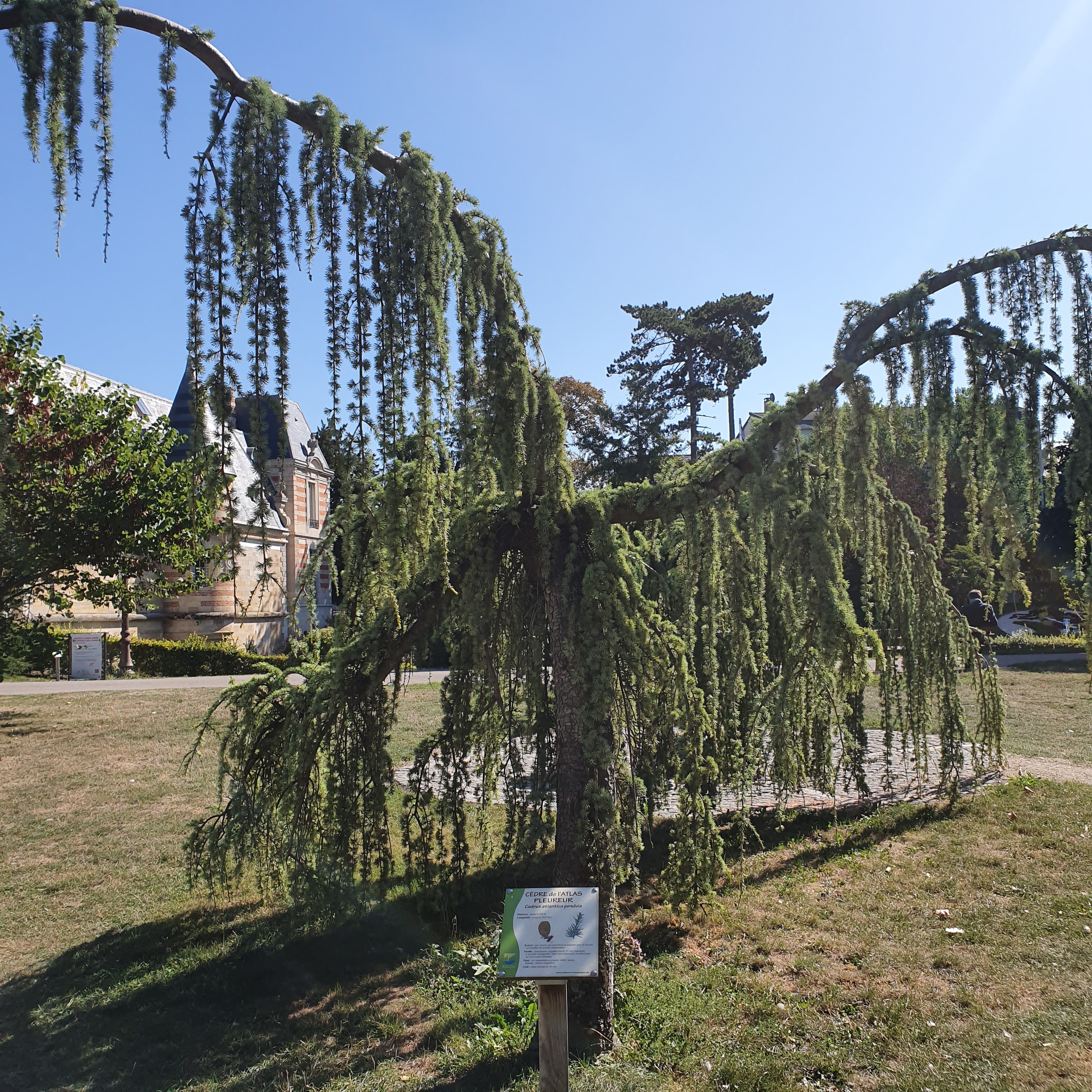 Photo n° 3 de l'avis de Vali.u fait le 05/09/2019 à 07:48