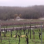 Photo n° 1 de l'avis de Alfombra.o fait le 10/02/2021 à 08:45 pour COGNAC FRAPIN à Segonzac