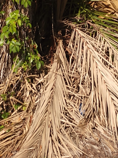 Barber Shop «Southland Barber Styling Shop», reviews and photos, 983 W State Rd 84, Fort Lauderdale, FL 33315, USA