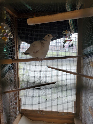 Pet Supply Store «Ithaca Grain & Pet Supply», reviews and photos, 1011 W Seneca St, Ithaca, NY 14850, USA