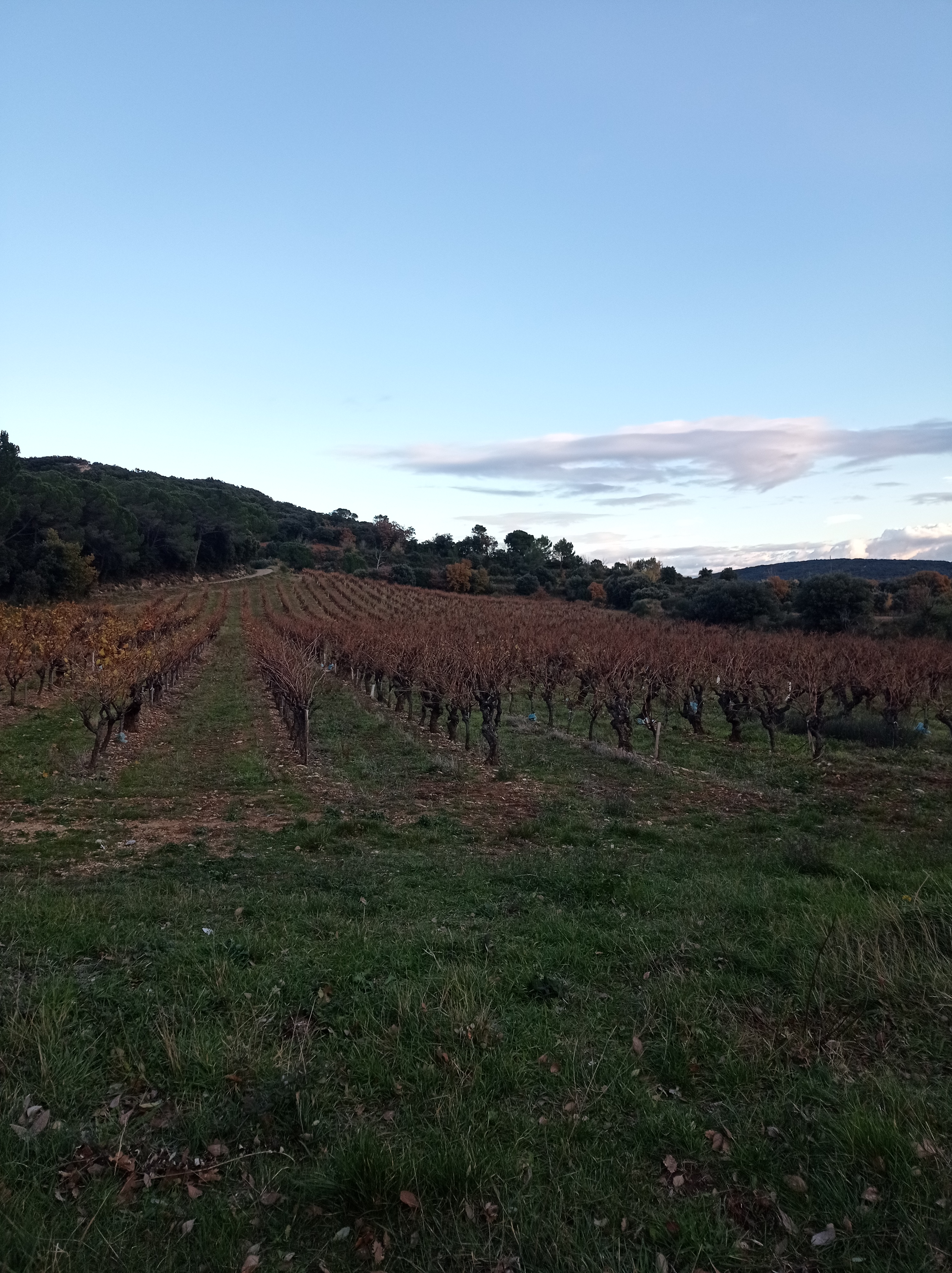 Photo n° 4 de l'avis de Laetitia.f fait le 28/11/2021 à 16:28
