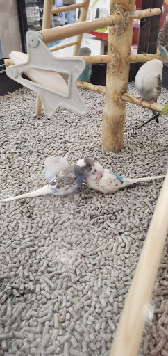 Pet Supply Store «Petco Animal Supplies», reviews and photos, 1333 Centennial Ave, Piscataway Township, NJ 08854, USA