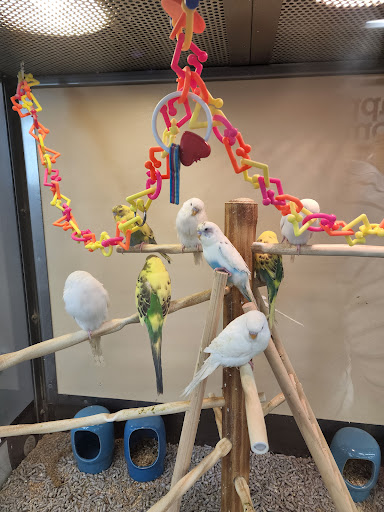 Pet Supply Store «Petco Animal Supplies», reviews and photos, 9111 Metropolitan Ave, Rego Park, NY 11374, USA