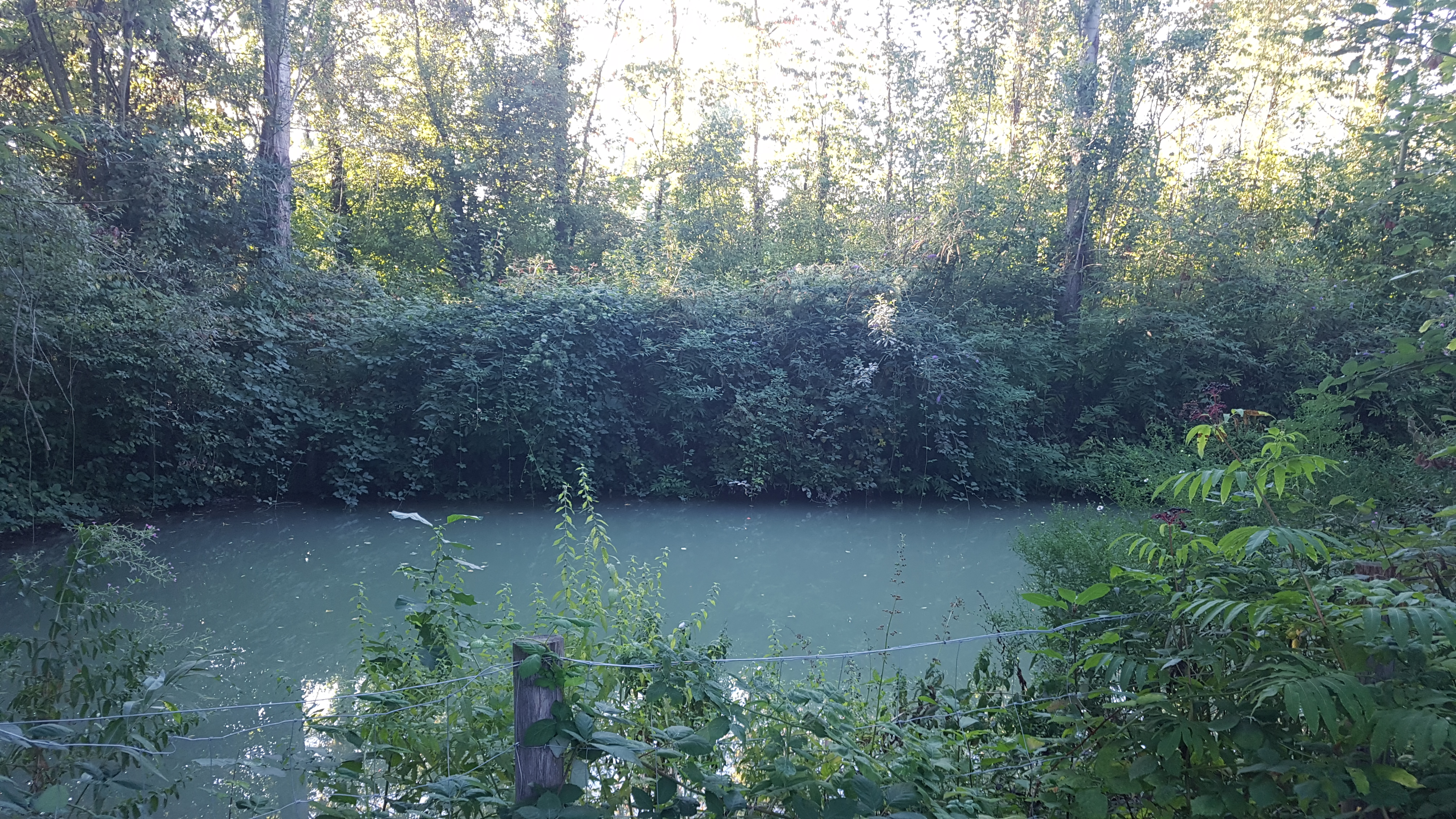 Photo n° 20 de l'avis de Sanjy.u fait le 20/09/2019 à 13:45