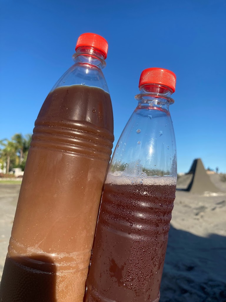 黑豆小姐 的照片