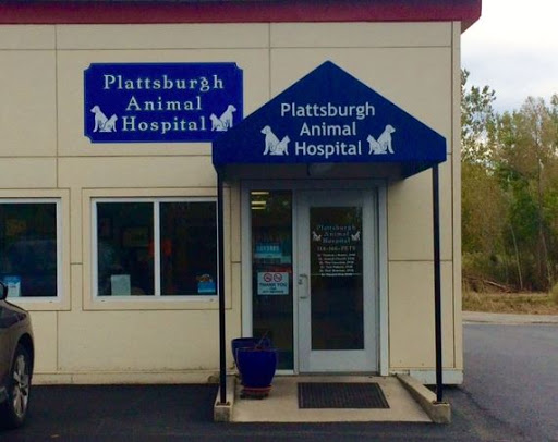 Plattsburgh Animal Hospital image 7