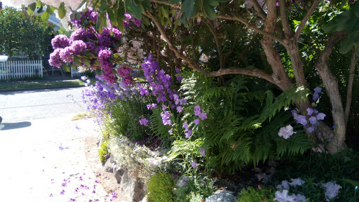 Park «Kirke Park», reviews and photos, 7028 9th Ave NW, Seattle, WA 98117, USA