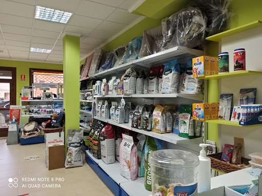 Consulta Veterinaria - Motilla del Palancar