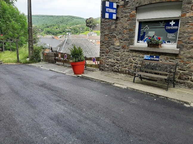 Vétérinaire Pauluis Petits Animaux ( chiens, chats, Nacs ) 24h/24h - Laser thérapeutique. - Dierenarts