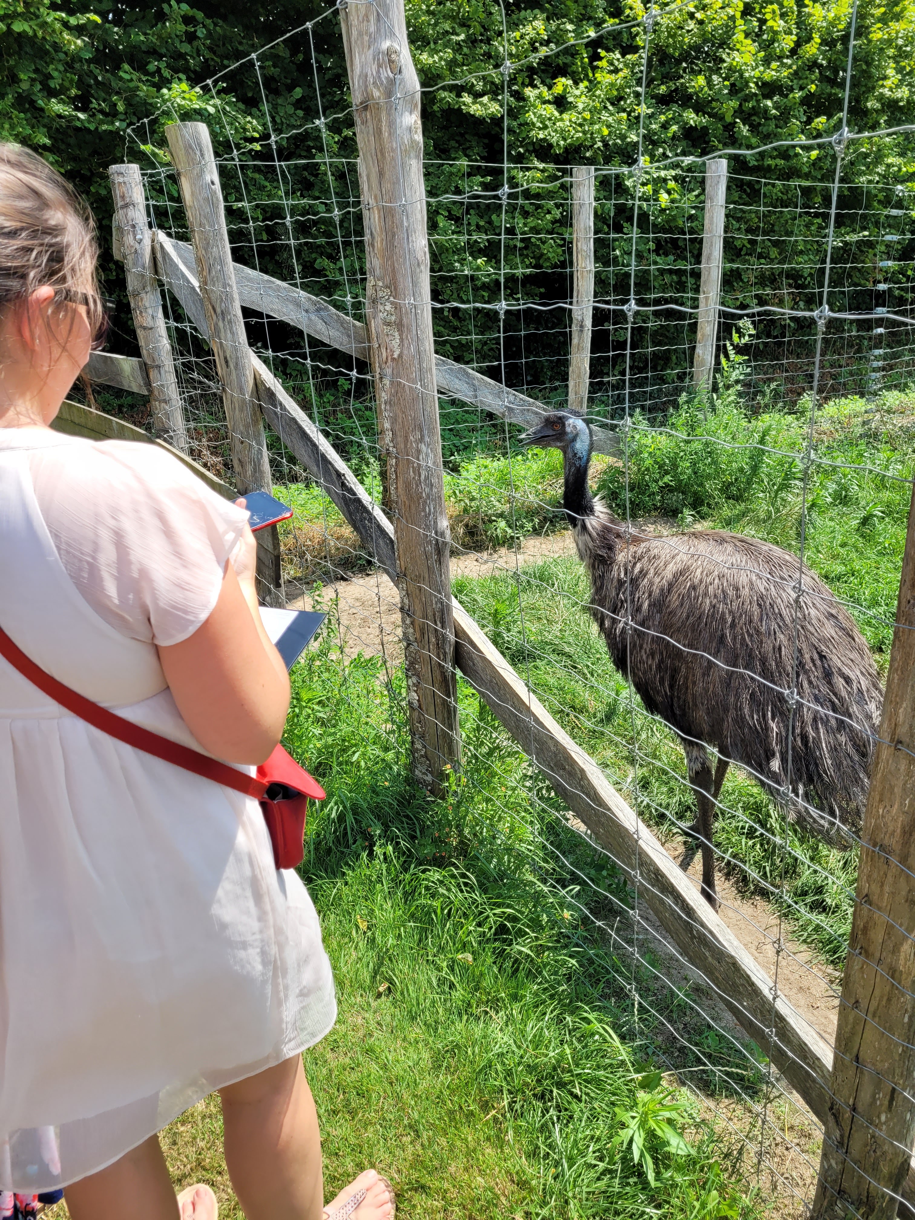 Photo n° 4 de l'avis de Stephane.n fait le 18/08/2021 à 15:08