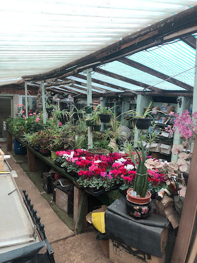 Ryton Nurseries