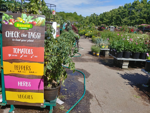 Home Improvement Store «The Home Depot», reviews and photos, 1213 VFW Pkwy, West Roxbury, MA 02132, USA