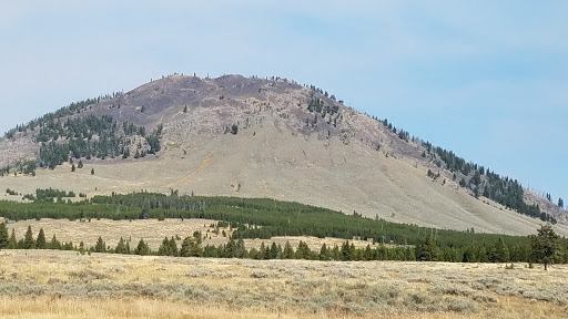 National Park «Yellowstone National Park», reviews and photos