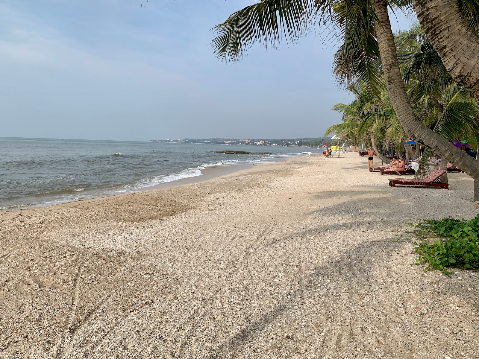 Nice Beach的照片 带有灰沙表面