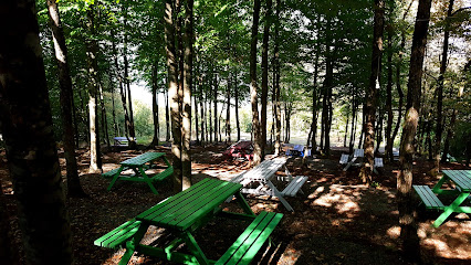 Yeşil Doğa Piknik Ve Kamp Alanı
