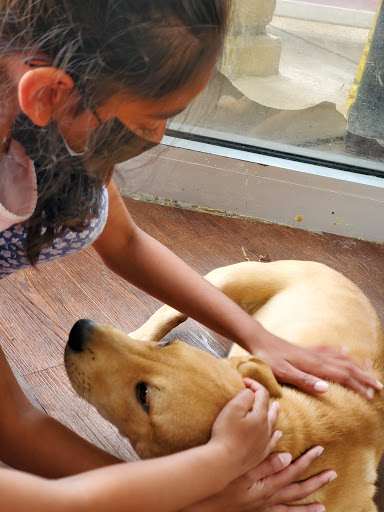 Pet Supply Store «Pets Plus - Bensalem», reviews and photos, 1336 Bristol Pike, Bensalem, PA 19020, USA