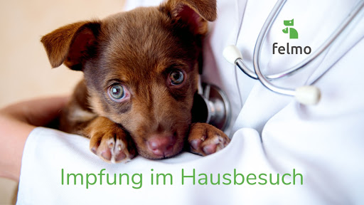 Felmo Mobiler Tierarzt München unter Munich, Bayern