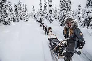 Fjellborgs Sleddog Kennel AB image