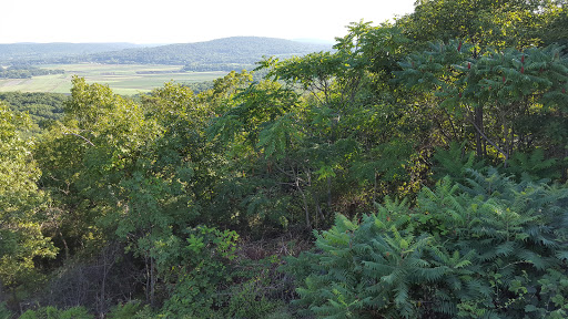 Observatory «United Astronomy Clubs of New Jersey», reviews and photos, 333 State Park Rd, Hope, NJ 07844, USA