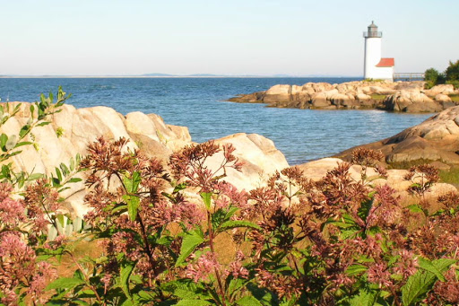 Photo of Annisquam Landcare, Inc.