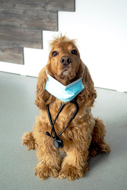 Cabinet Veterinar GENVET Arad